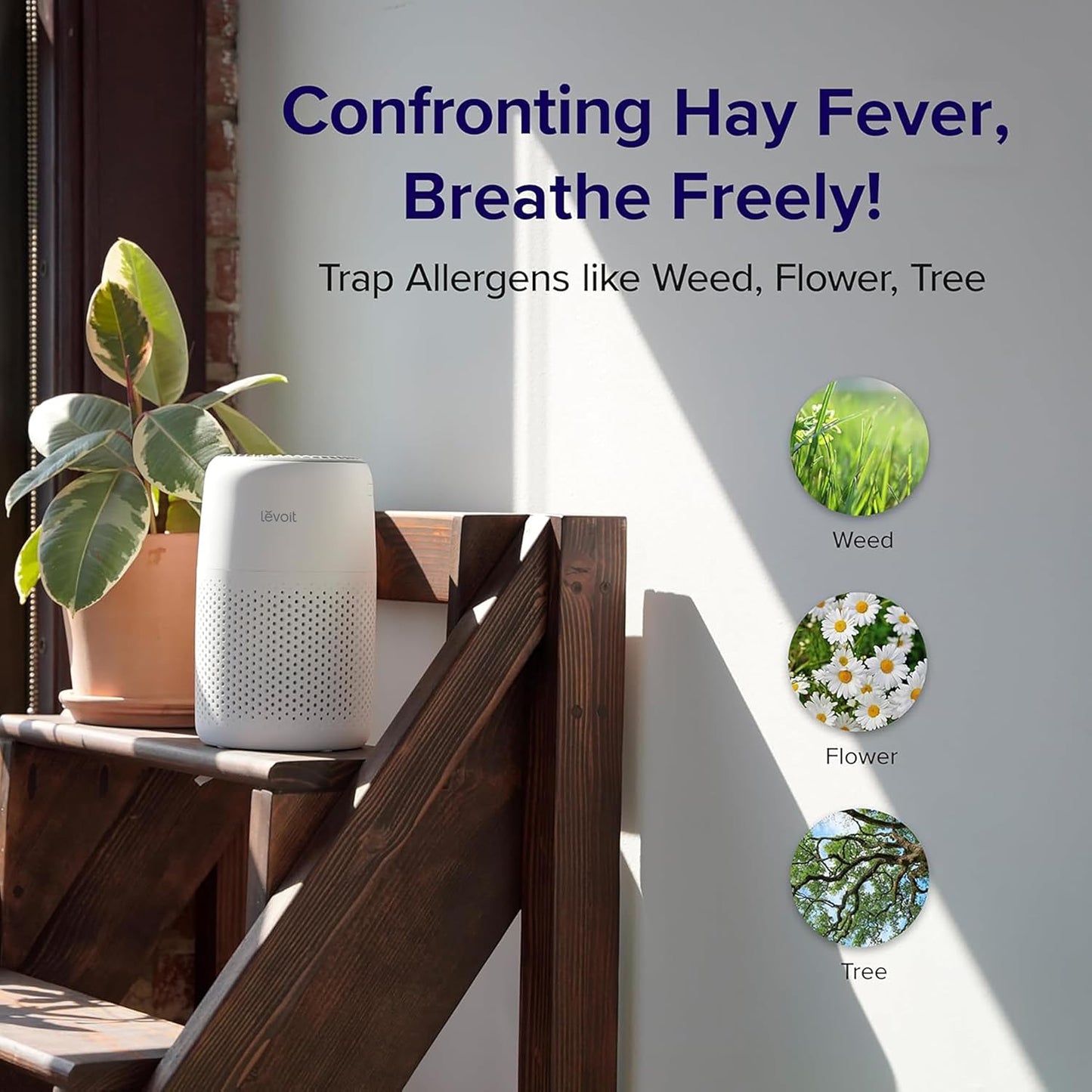 Levoit Core Mini Air Purifier | NDIS Sensory & Sleep Aid
