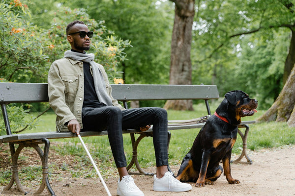 A person sits on a park bench with a guide dog. The person holds a white cane, indicating visual impairment. The Rottweiler guide dog sits attentively beside them. Lush green trees and orange flowers create a peaceful park setting.