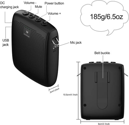 WinBridge Voice Amplifier | NDIS Vocal Strain & Speech Aid