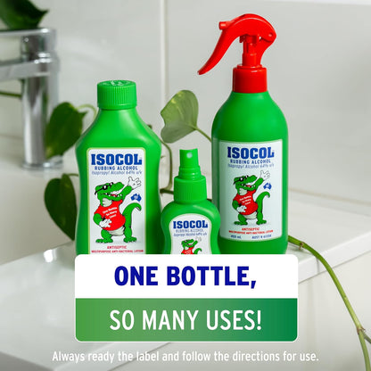 Rubbing Alcohol Antiseptic Lotion Spray 450ml | NDIS Hygiene Support