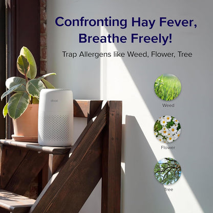 Levoit Core Mini Air Purifier | NDIS Sensory & Sleep Aid