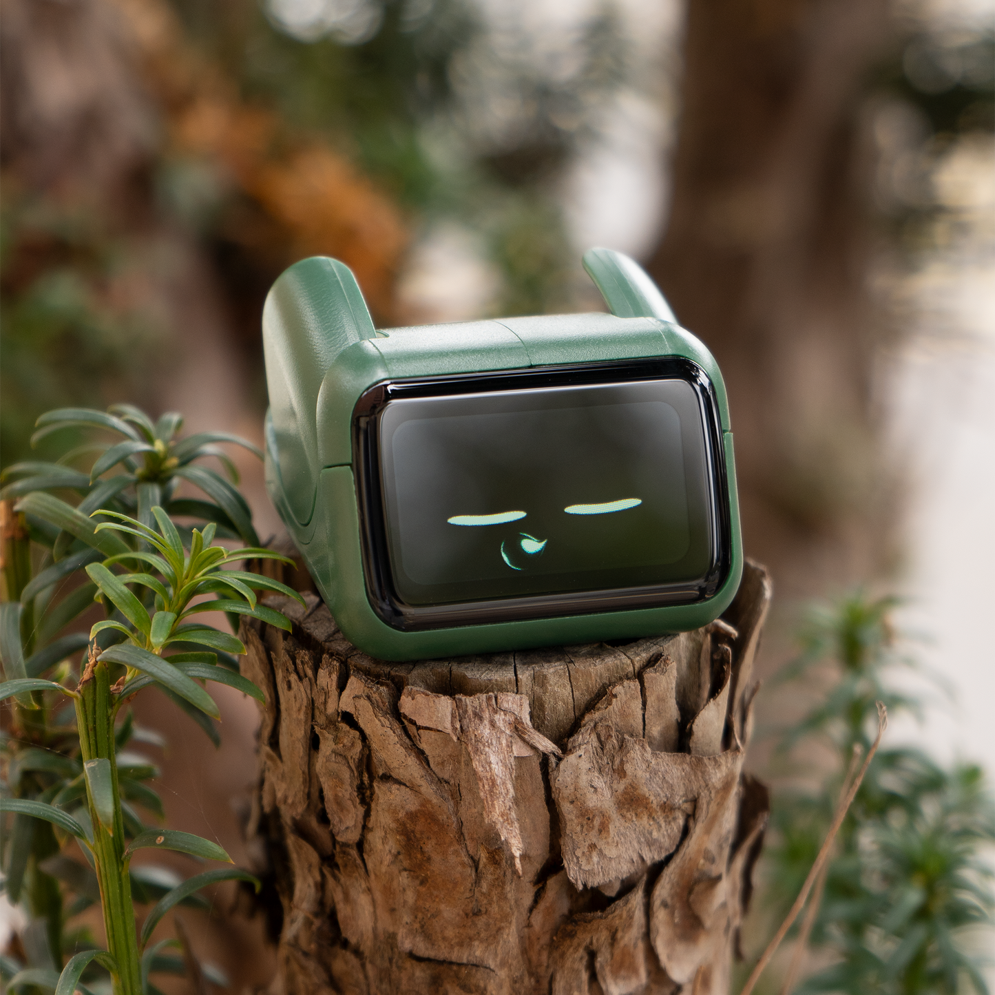 Ortomi Umi Companion Robot | NDIS Calm & Regulation Aid