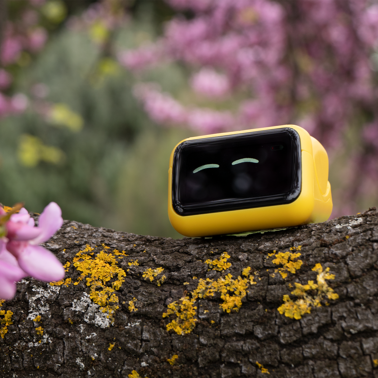 Ortomi Umi Companion Robot | NDIS Calm & Regulation Aid
